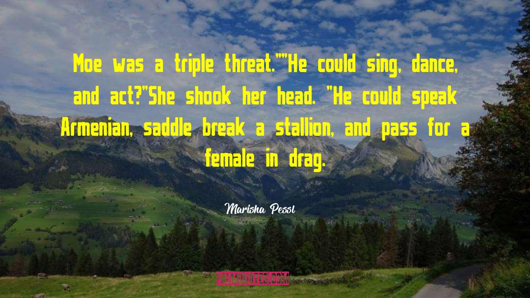 Triple Threat quotes by Marisha Pessl