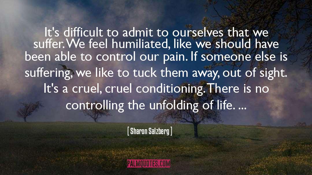 Triquetrum Pain quotes by Sharon Salzberg