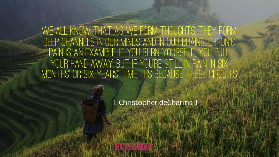 Triquetrum Pain quotes by Christopher DeCharms