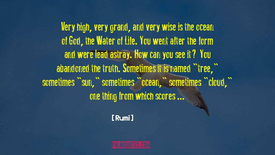 Triskelions Grand quotes by Rumi