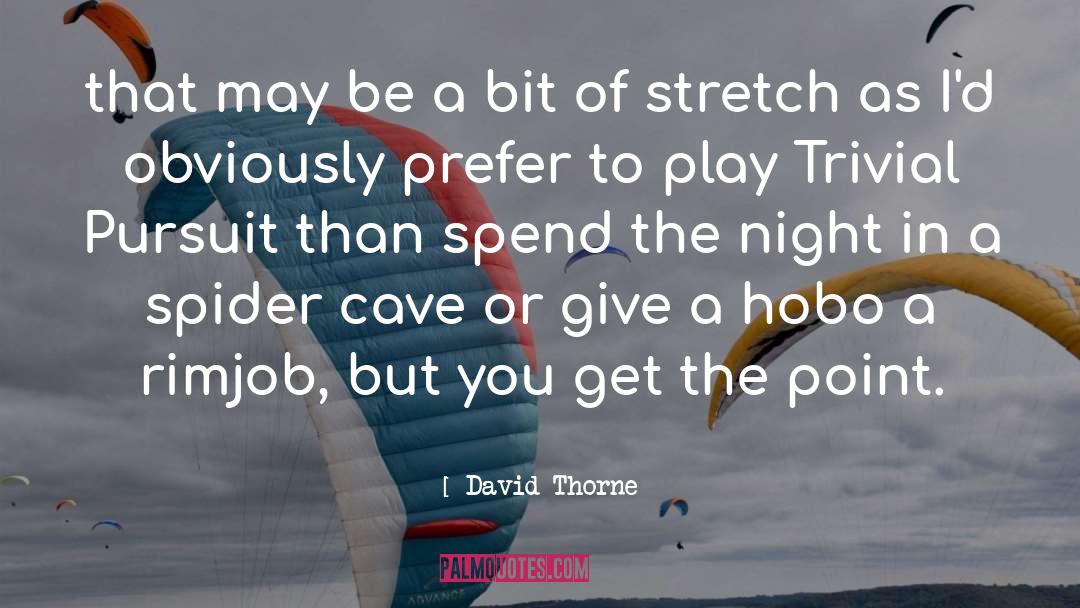 Trivial Pursuit quotes by David Thorne
