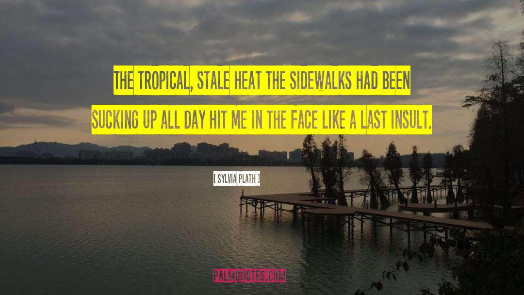 Tropical Decor quotes by Sylvia Plath