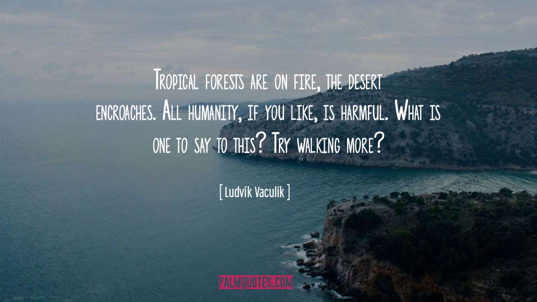 Tropical Islands quotes by Ludvík Vaculík