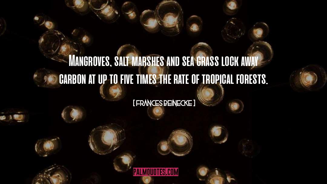 Tropical quotes by Frances Beinecke
