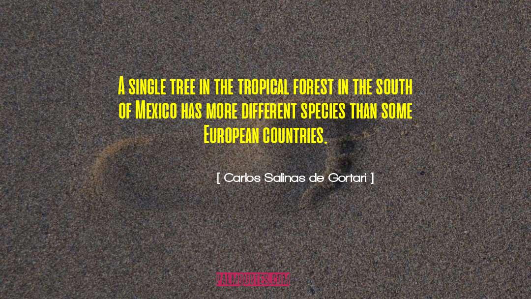 Tropical quotes by Carlos Salinas De Gortari