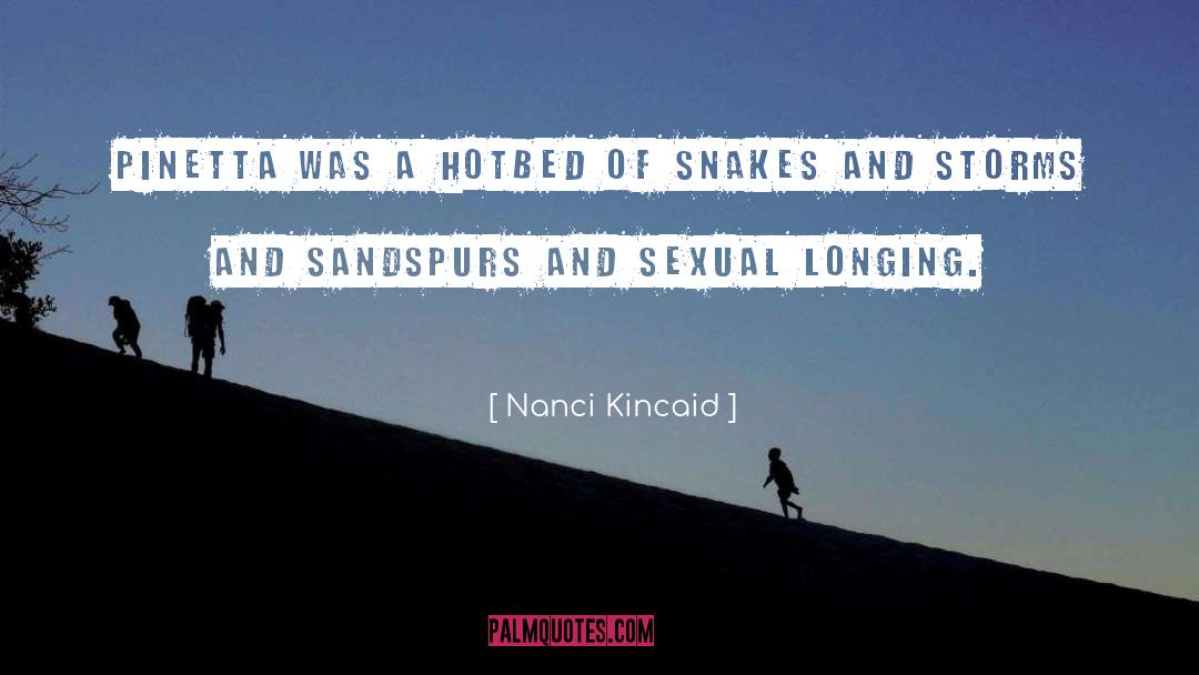 Tropical Storms quotes by Nanci Kincaid