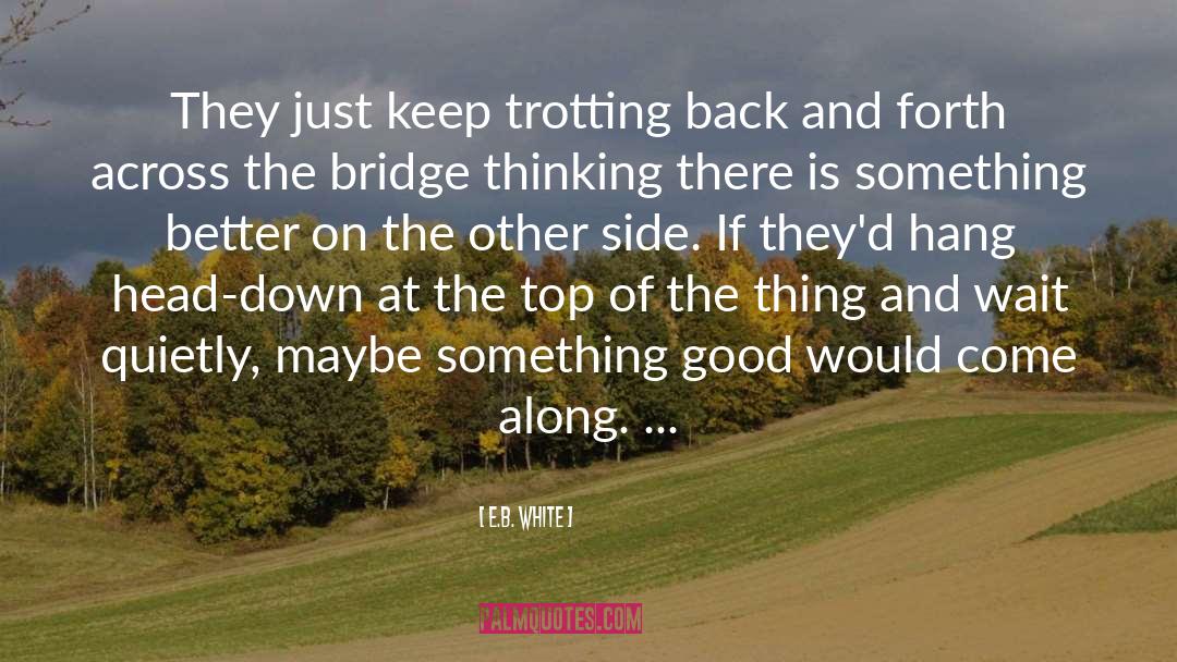 Trotting quotes by E.B. White