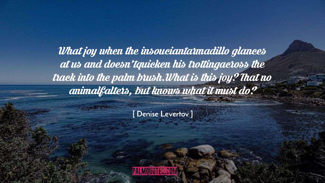 Trotting quotes by Denise Levertov