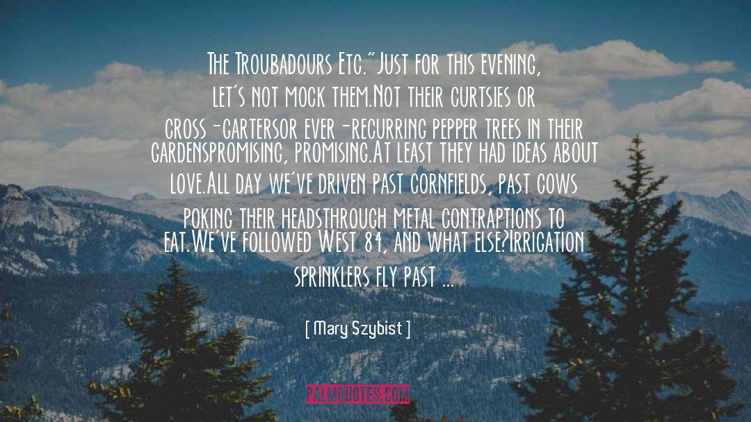 Troubadours quotes by Mary Szybist