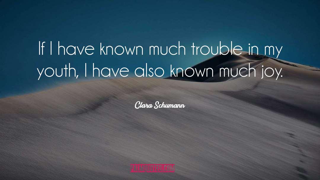 Trouble quotes by Clara Schumann