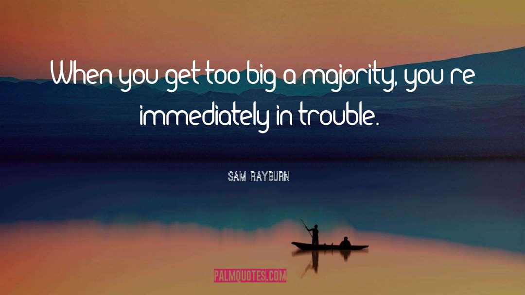 Trouble Youth quotes by Sam Rayburn
