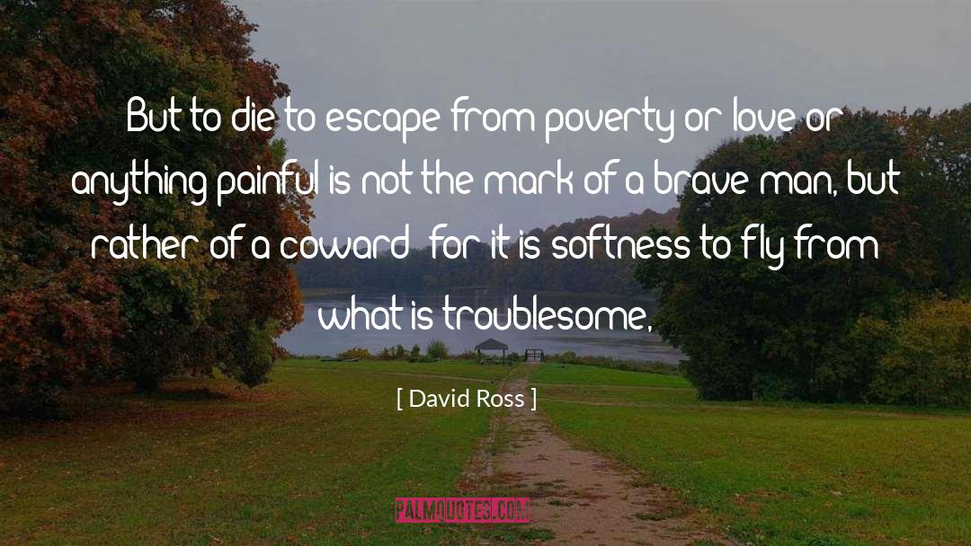 Troublesome quotes by David Ross