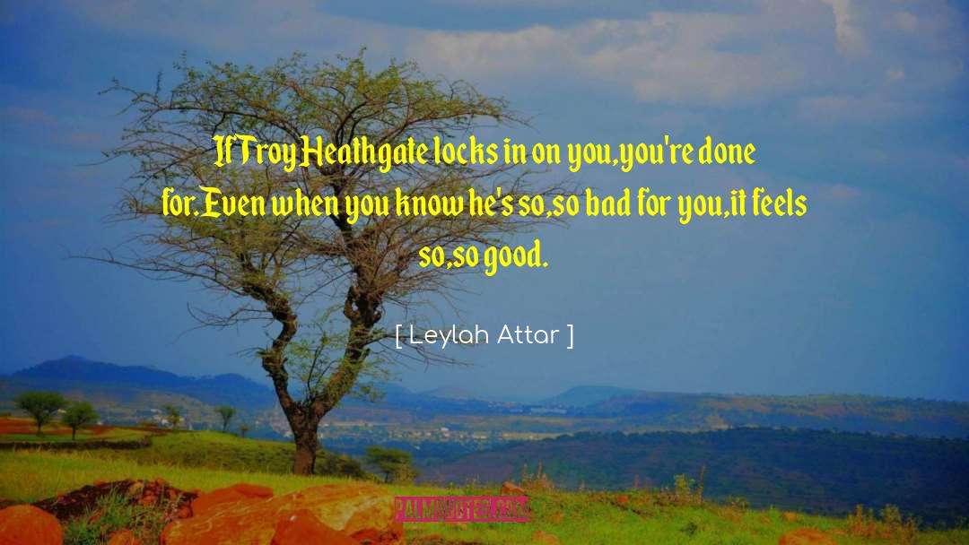 Troy Heathgate quotes by Leylah Attar