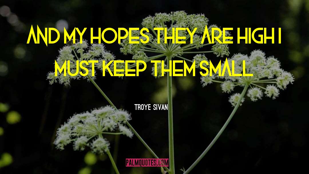 Troye Sivan quotes by Troye Sivan