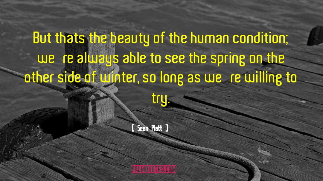 True Beauty Of Life quotes by Sean Platt