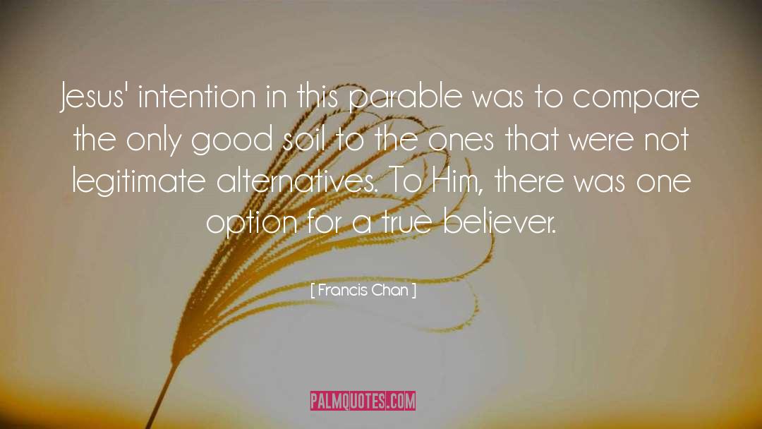 True Believer quotes by Francis Chan