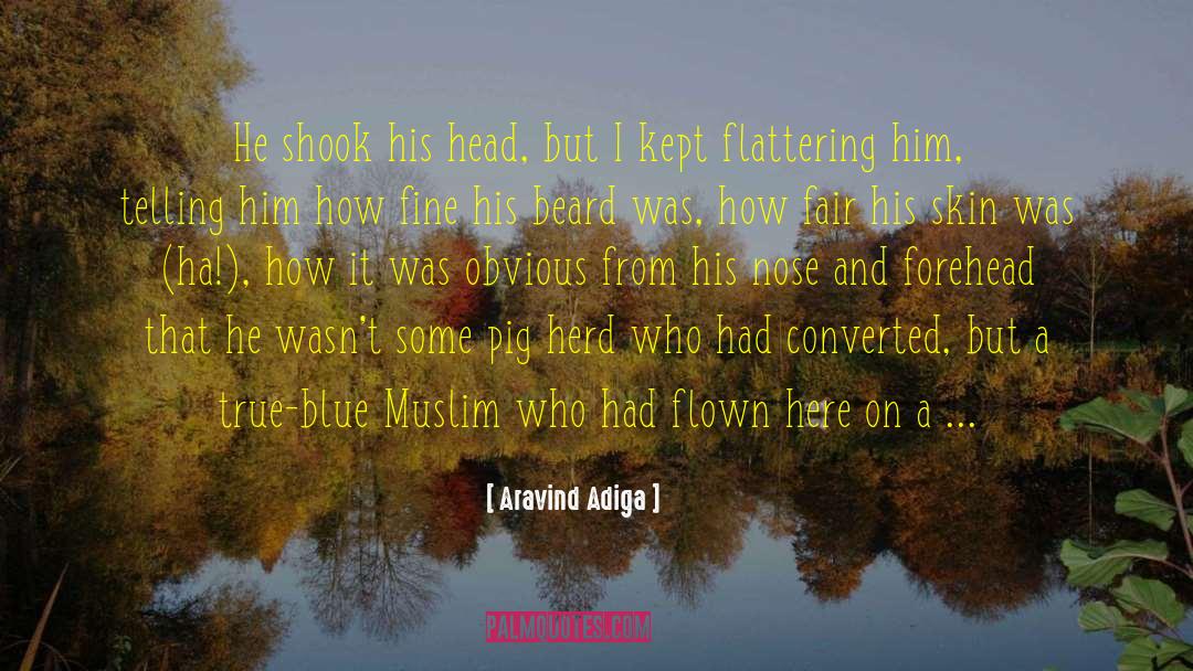 True Blue quotes by Aravind Adiga