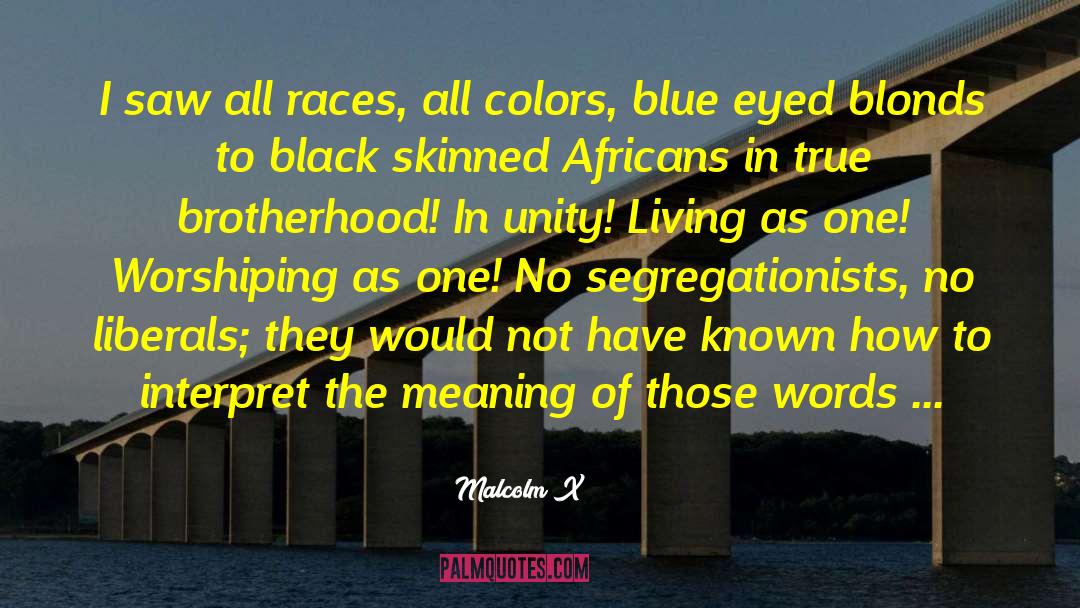 True Brotherhood quotes by Malcolm X