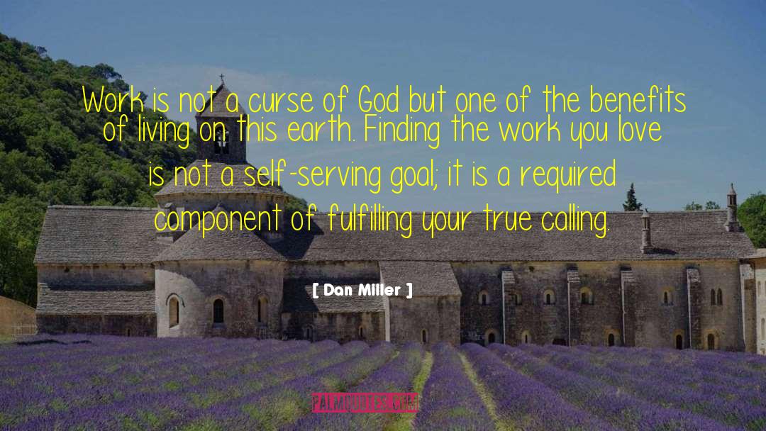 True Calling quotes by Dan Miller