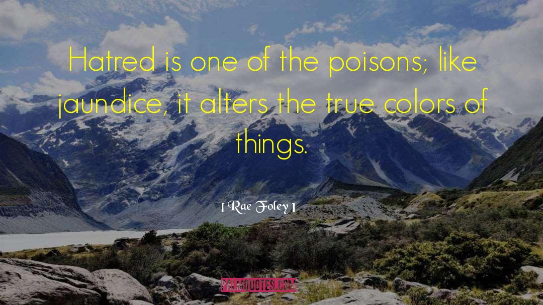 True Colors quotes by Rae Foley