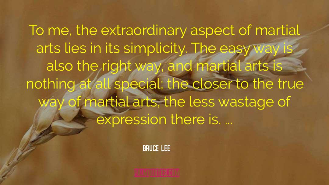 True Cool quotes by Bruce Lee