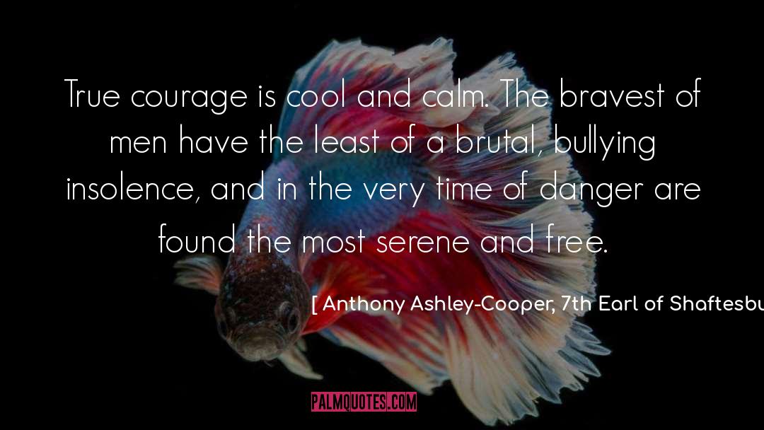 True Courage quotes by Anthony Ashley-Cooper, 7th Earl Of Shaftesbury