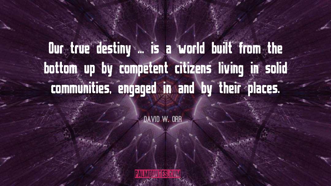 True Destiny quotes by David W. Orr