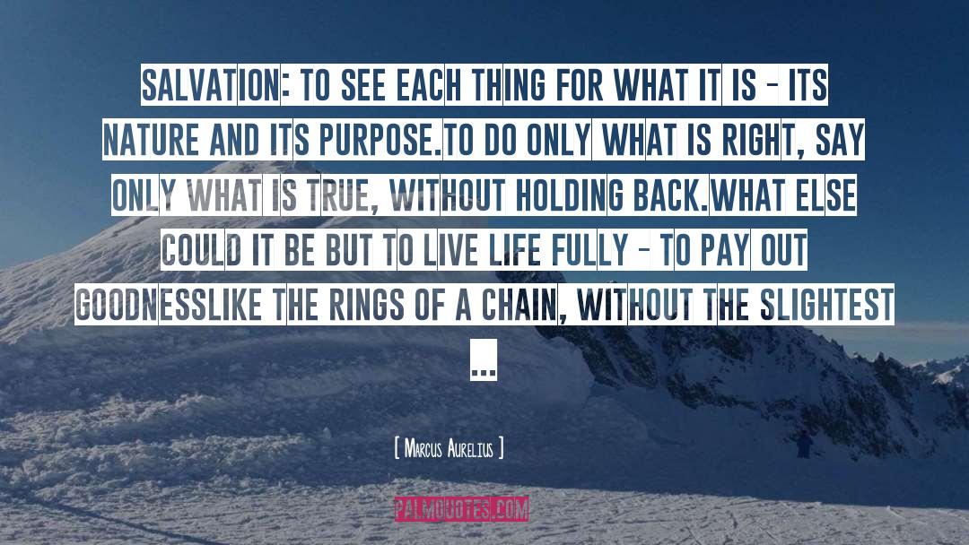 True Destiny quotes by Marcus Aurelius