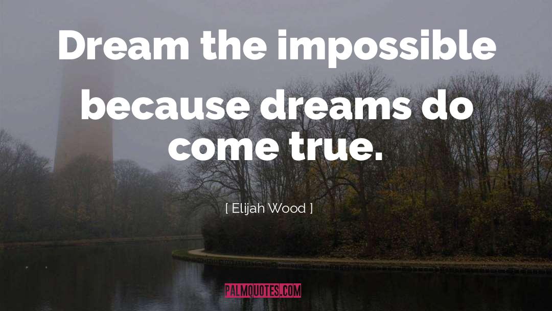 True Dreams quotes by Elijah Wood