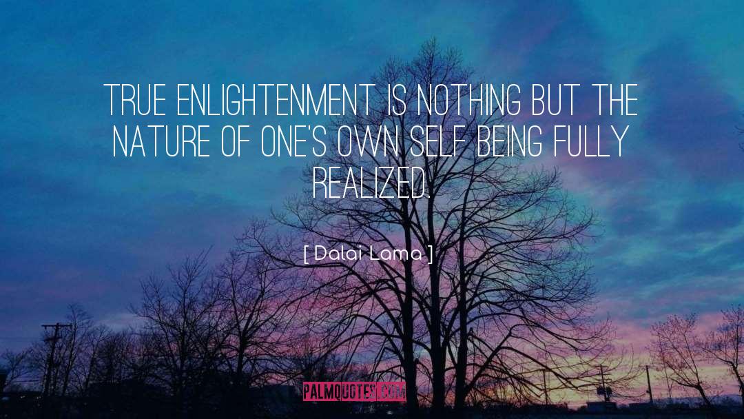 True Enlightenment quotes by Dalai Lama