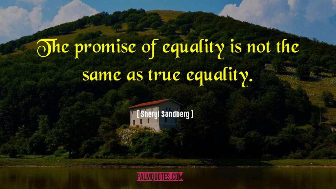 True Equality quotes by Sheryl Sandberg