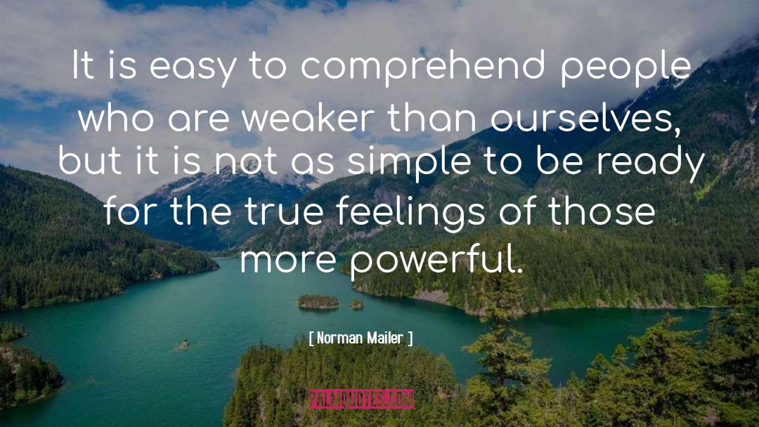 True Feelings quotes by Norman Mailer