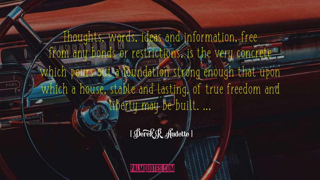 True Freedom Of Thought quotes by Derek R. Audette