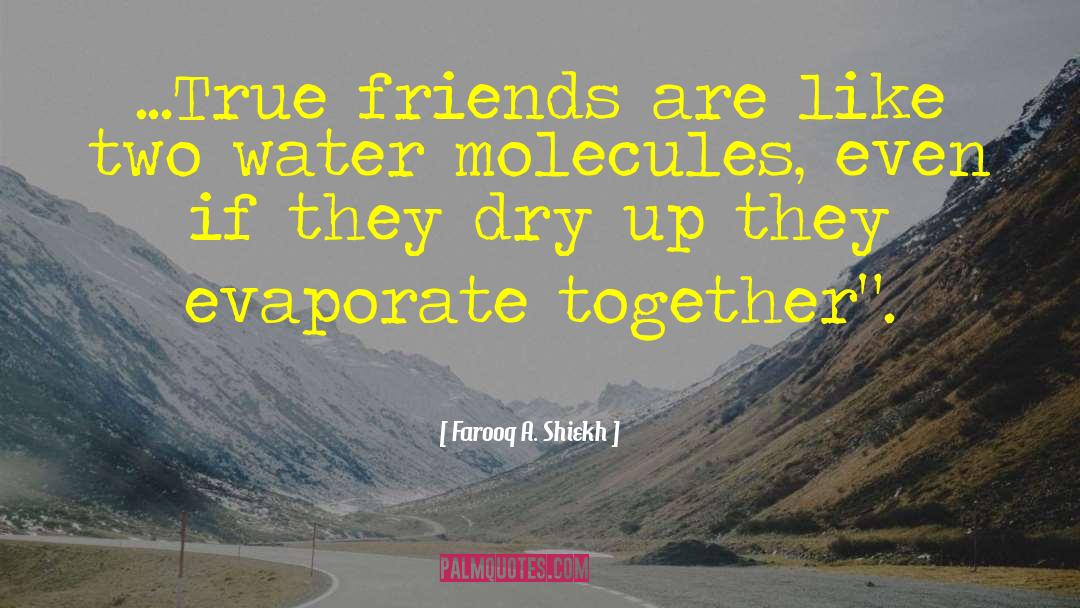 True Friends quotes by Farooq A. Shiekh