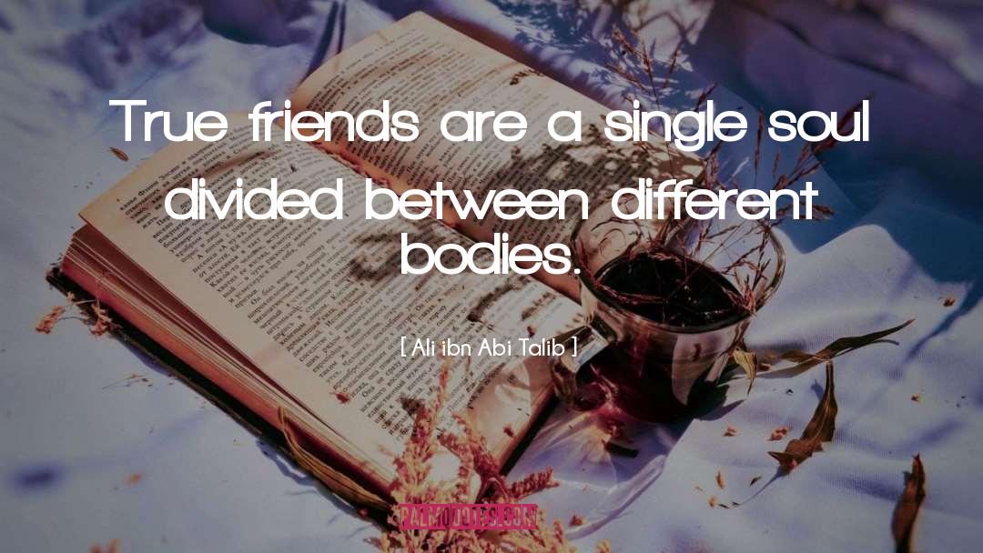 True Friends quotes by Ali Ibn Abi Talib