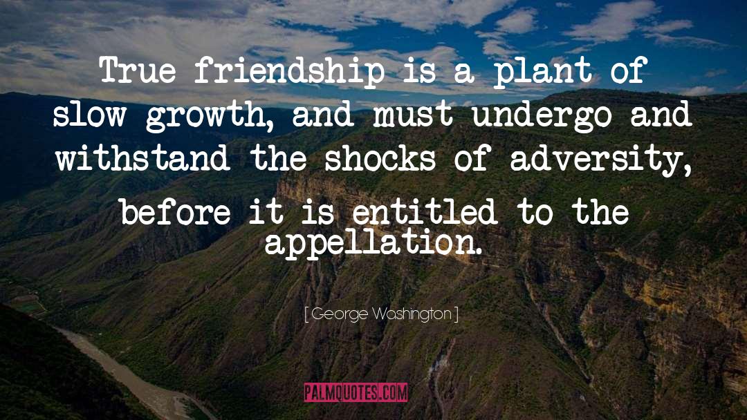 True Friendship quotes by George Washington