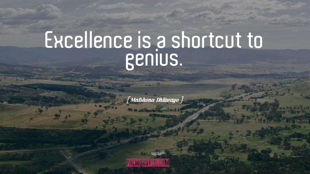True Genius quotes by Matshona Dhliwayo