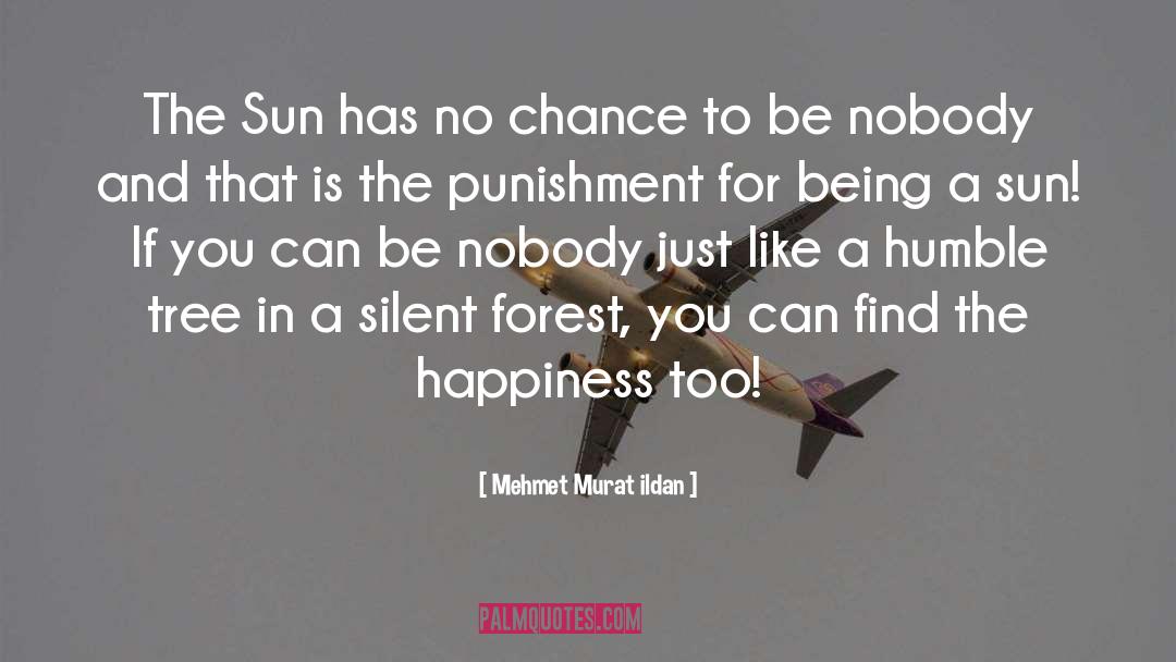 True Happiness Has No Definition quotes by Mehmet Murat Ildan