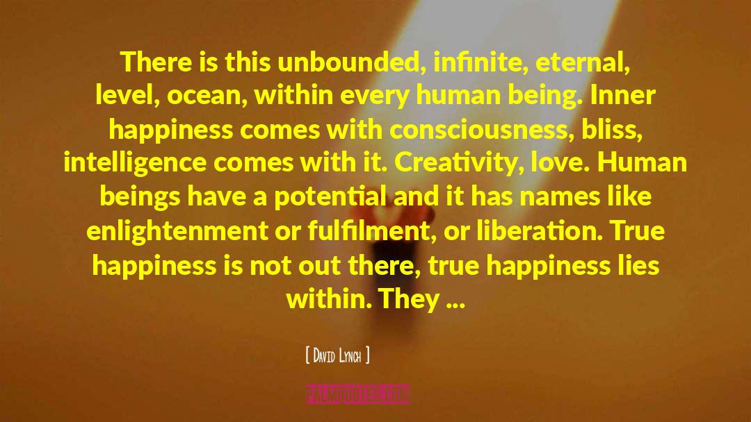 True Happiness Has No Definition quotes by David Lynch