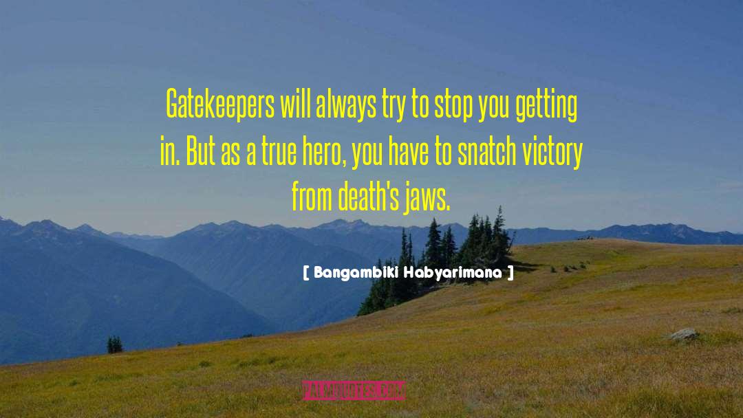 True Hero quotes by Bangambiki Habyarimana