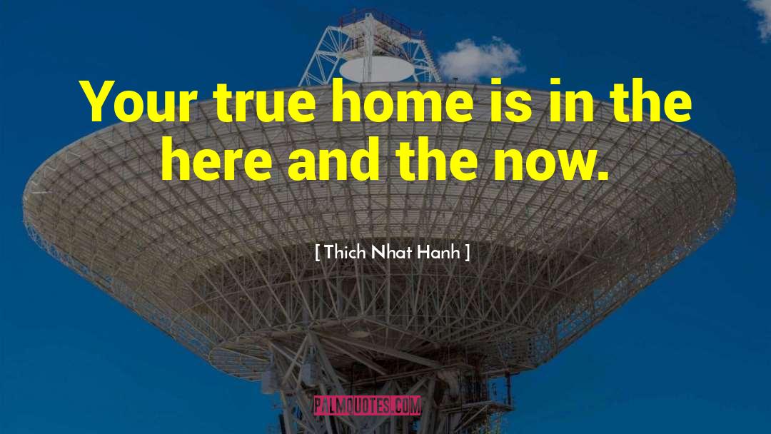 True Home quotes by Thich Nhat Hanh