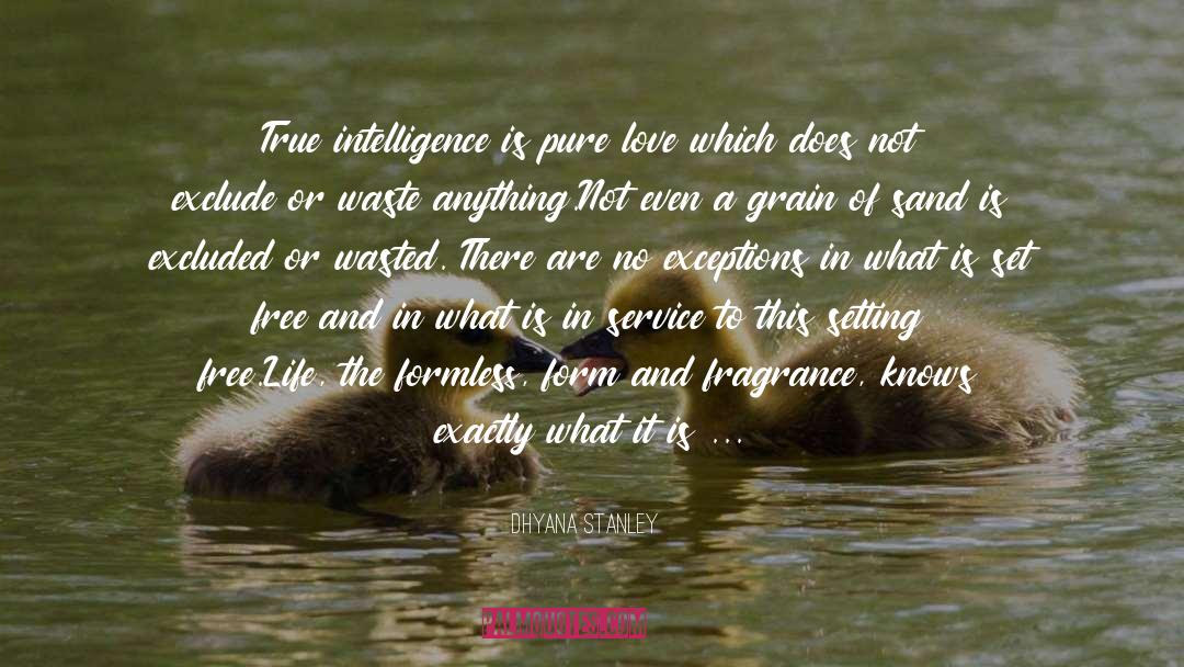 True Intelligence quotes by Dhyana Stanley