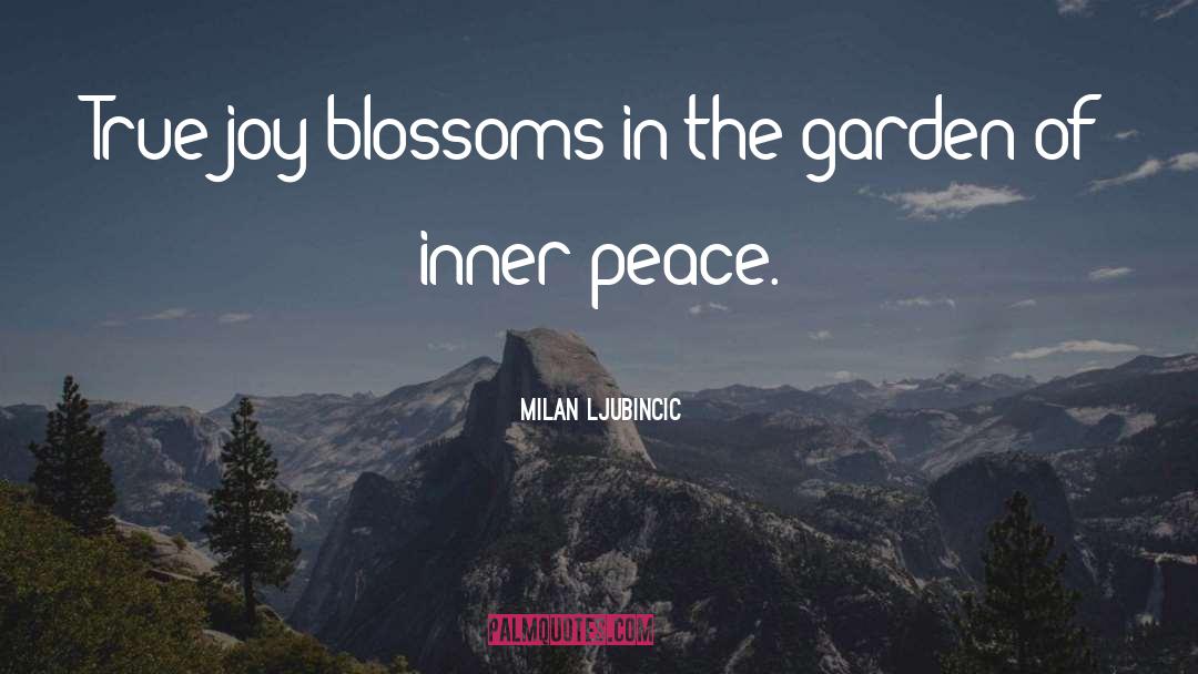True Joy quotes by Milan Ljubincic