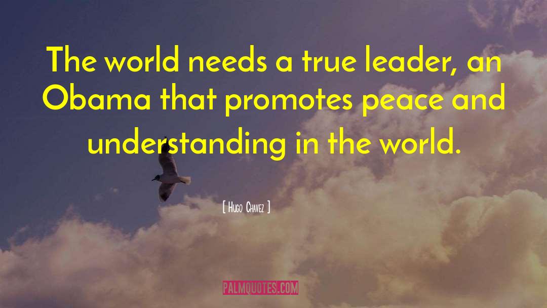 True Leader quotes by Hugo Chavez