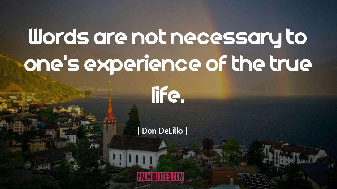 True Life quotes by Don DeLillo