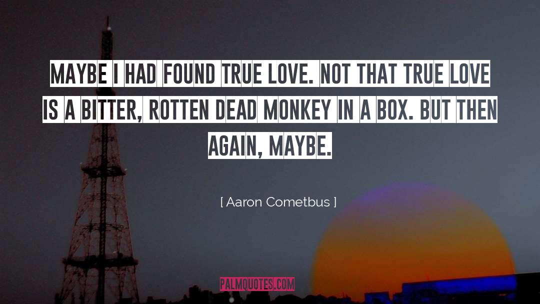 True Love Is quotes by Aaron Cometbus