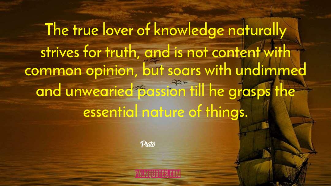 True Lover quotes by Plato