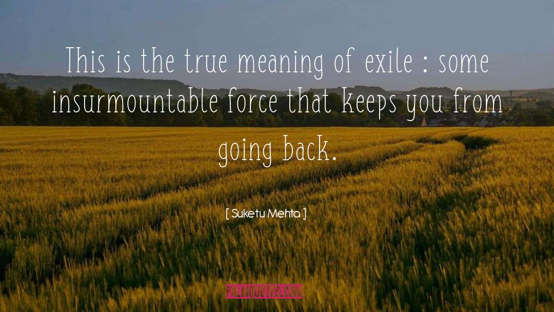 True Meaning quotes by Suketu Mehta