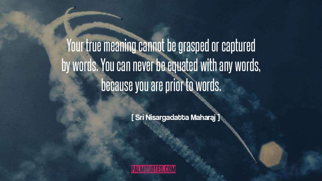 True Meaning quotes by Sri Nisargadatta Maharaj