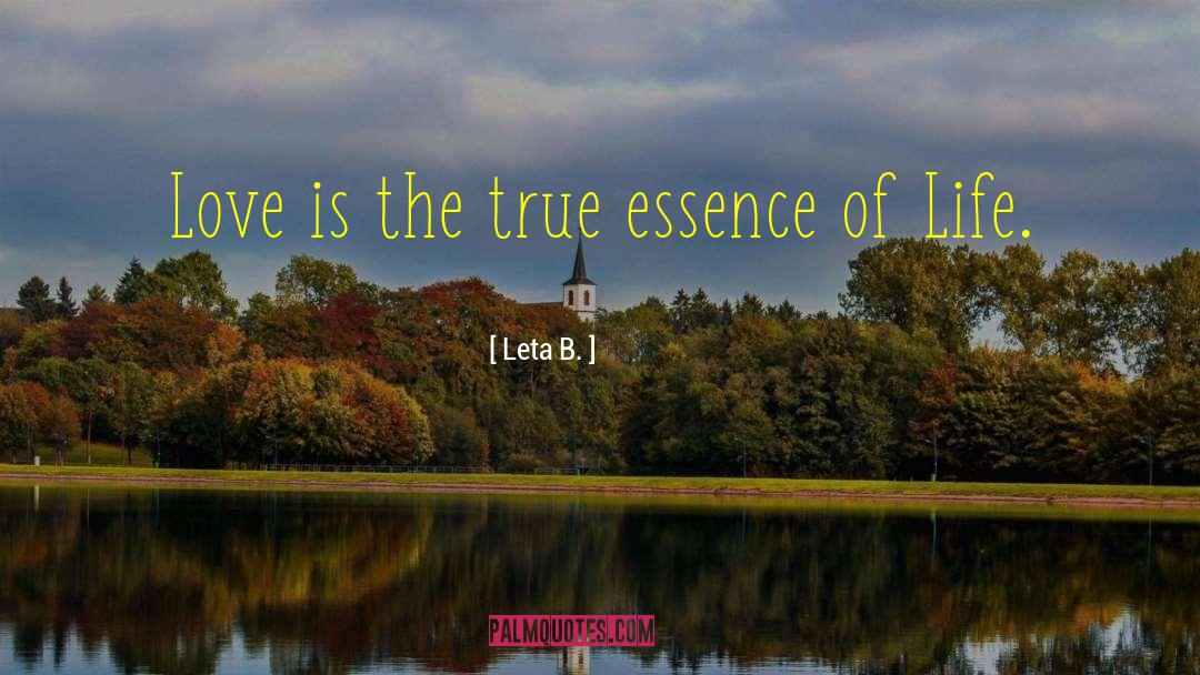 True Meditation quotes by Leta B.